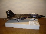 k-F-14 Tomcat (19).JPG

243,09 KB 
640 x 480 
18.03.2009
